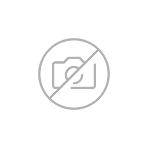 Marina Del Rey Crevettes sauvages d'argentine colossales coupées profondément 8 / 12 