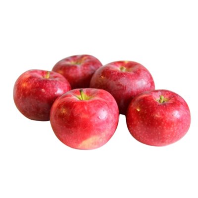 POMME PAULA ROUGE BIO SAC 2LB