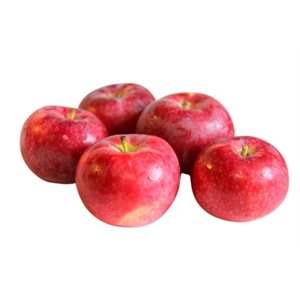 Organic Paulared Apples 2lb bag