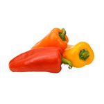 Organic Mini mild pepper  1lb