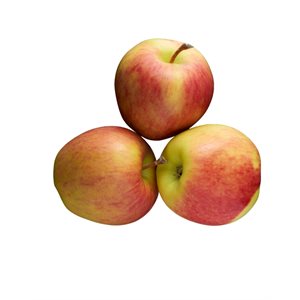 Organic Ambrosia apples 2lb bag