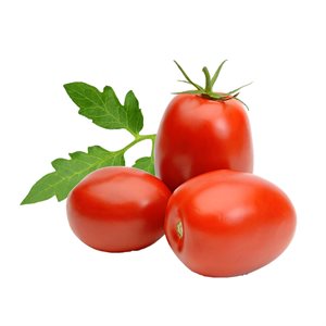 Tomates Roma biologiques Env:110g