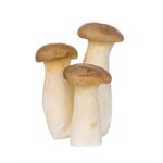 Organic Mini King Oyster Mushroom Pack 170g