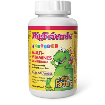 Natural Factors Chewable Multivitamin & Minerals with Whole Food Concentrates 60 Chewable Tablets Jungle Berry Natural Factors Chewable Multivitamin & Minerals with Whole Food Concentrates 60 Chewable Tablets Jungle Berry