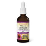 Natural Factors Echinacea Fresh Herb Tincture   Alcohol-Free     50 mL Tincture Natural Berry