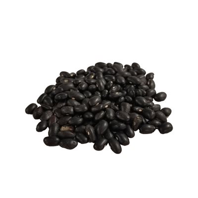 Feves Noire Black Turtle Bio Vrac Env:100g Feves Noire Black Turtle Bio Vrac Env:100g