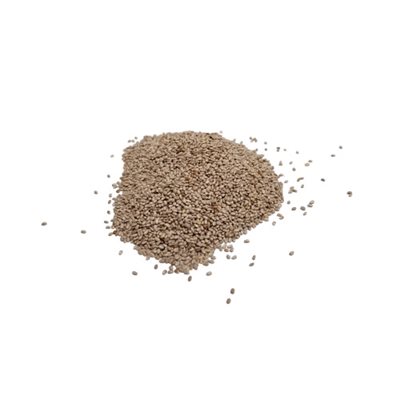 Graines De Chia Blanches Bio Vrac Env:100g Graines De Chia Blanches Bio Vrac Env:100g