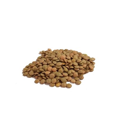 Bulk Organic Green Lentils Approx:100g