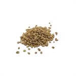 Bulk Organic  Barley Approx:100g