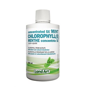 Land Art Chlorophyll(E) Menthe 5X 500ml