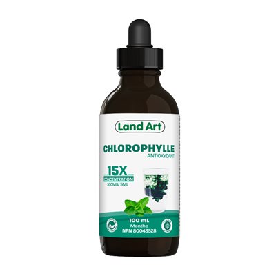 Land Art Chlorophyll(E )15X Menthe 500ml Land Art Chlorophyll(E )15X Menthe 500ml