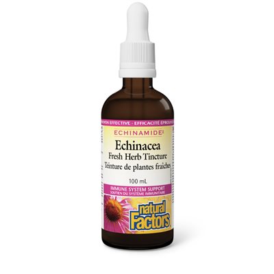 Natural Factors Echinacea Teinture De Plantes Fraîches 100 Ml Teinture Natural Factors Echinacea Teinture De Plantes Fraîches 100 Ml Teinture