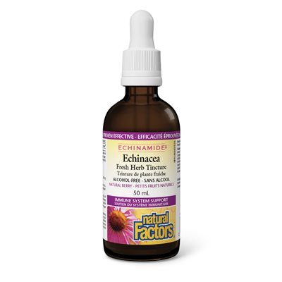Natural Factors Echinacea Fresh Herb Tincture Alcohol-Free 50 Ml Tincture Natural Berry Natural Factors Echinacea Fresh Herb Tincture Alcohol-Free 50 Ml Tincture Natural Berry