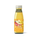 Greenhouse Jus Cru et Biologique Copilote 300 ml