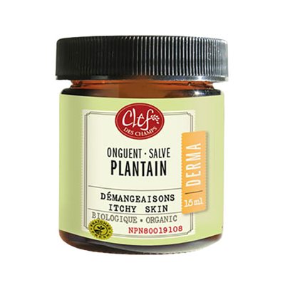 Plantain Salve Organic 15 Ml