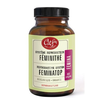 Clef Des Champs Féminithé 280Mg 85Un Clef Des Champs Féminithé 280Mg 85Un