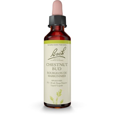 Bach Chtaigne 20ml Bach Chtaigne 20ml