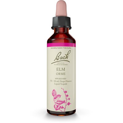 Bach Orme 20ml Bach Orme 20ml