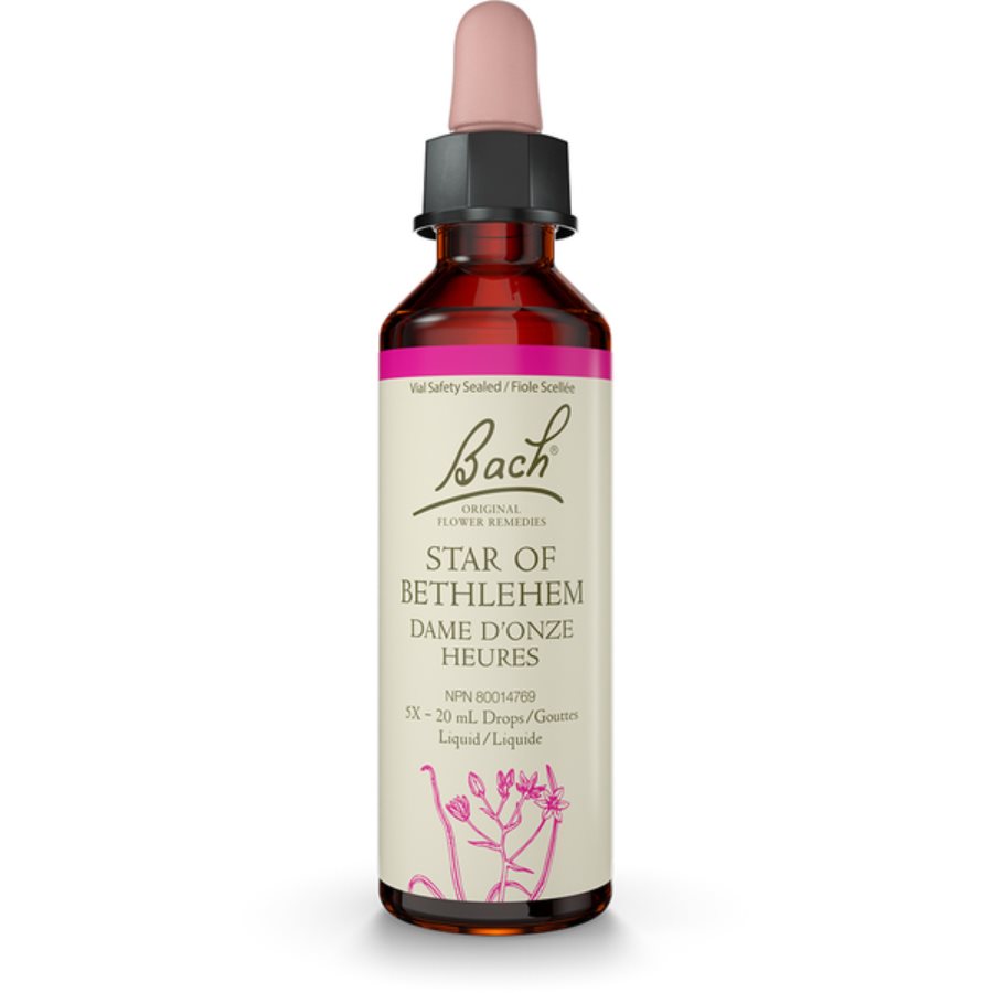 Bach étoile de Bethléem 20ml