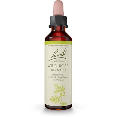 Bach Rosier sauvage 20ml Bach Rosier sauvage 20ml
