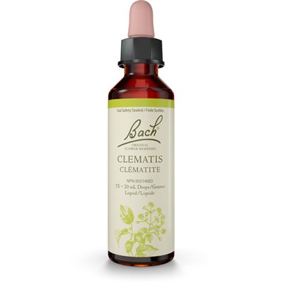 Bach Clématite 20ml Bach Clématite 20ml