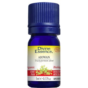 ajowan essential oil
