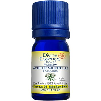 huile essentielle achillée millefeuille bio huile essentielle achillée millefeuille bio