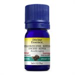 Divine Essence Frankincense - Kenya (B. Neglecta) Wild Essential Oil 5ml