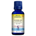 Lavender fine essential oil 