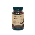 HARMONIC ARTS  CHAGA bio 60caps