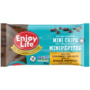 Enjoy Life Minigrains Mi-Sucré 255G