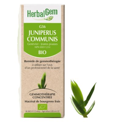 Juniperus communis 50 ml